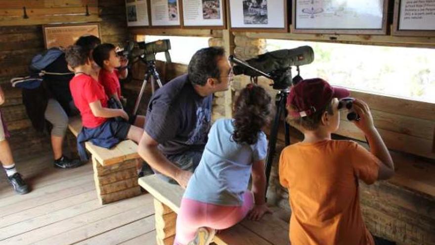 Un grupo de personas observa a los buitres que habitan en la Sierra de Mariola.