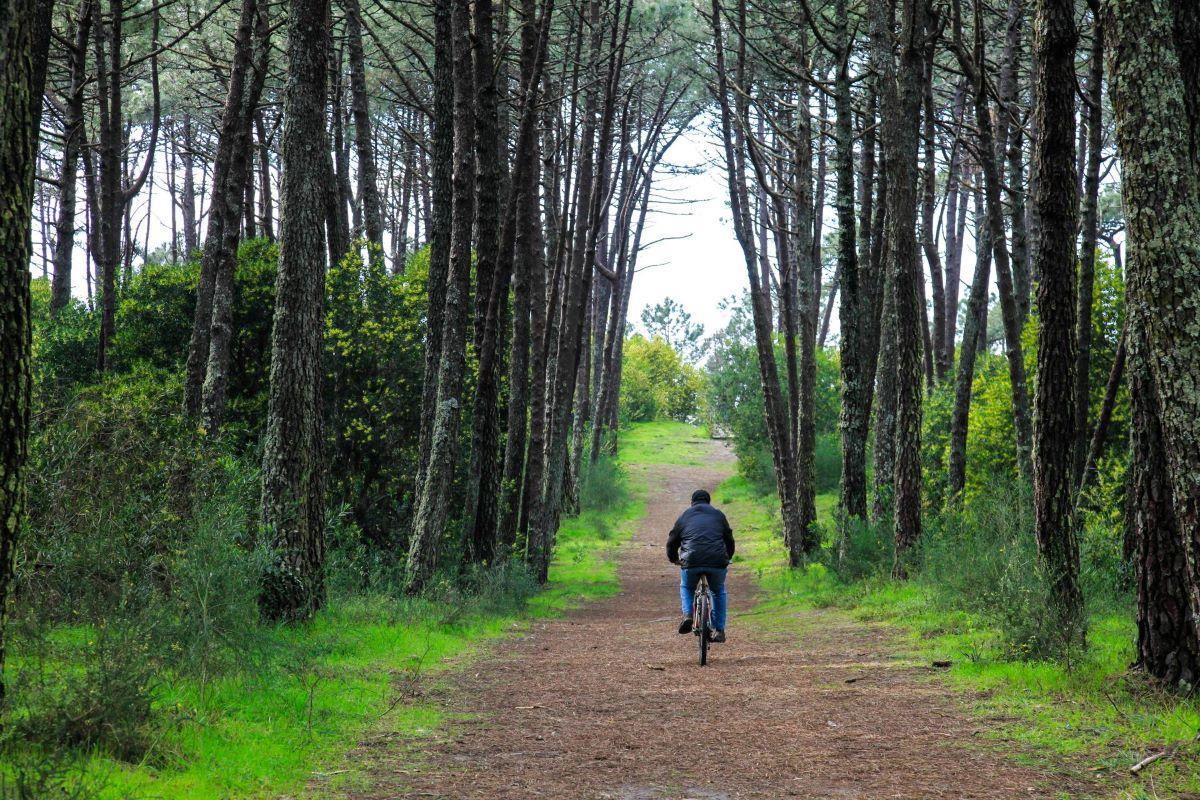 Desde el 6 hasta el 21 de diciembre podrás disfrutar de esta decoración tan especial.