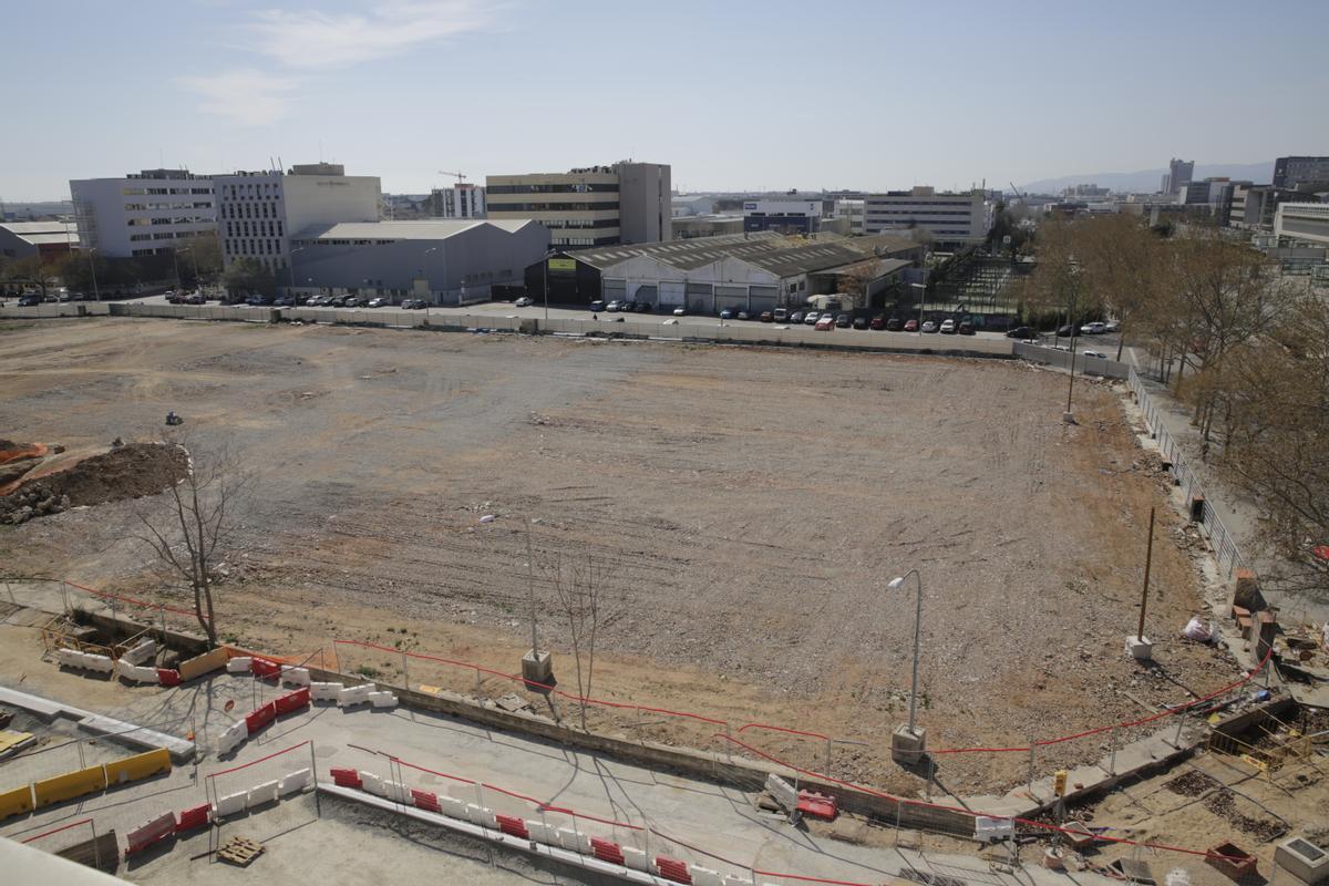 Obra pública para crear un gran parque urbano en el barrio de la Marina del Prat Vermell.