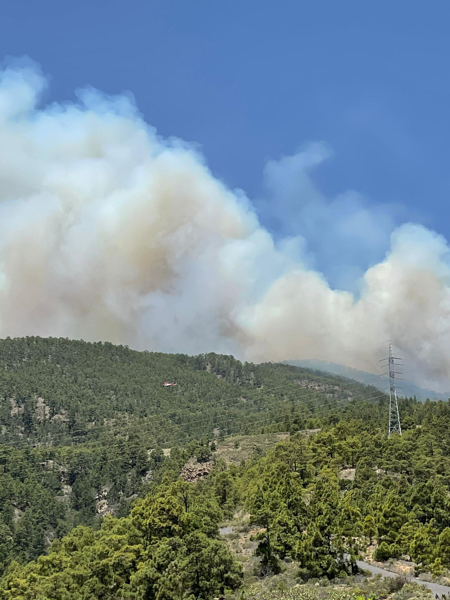 Incendio forestal en Tenerife (20/05/21)