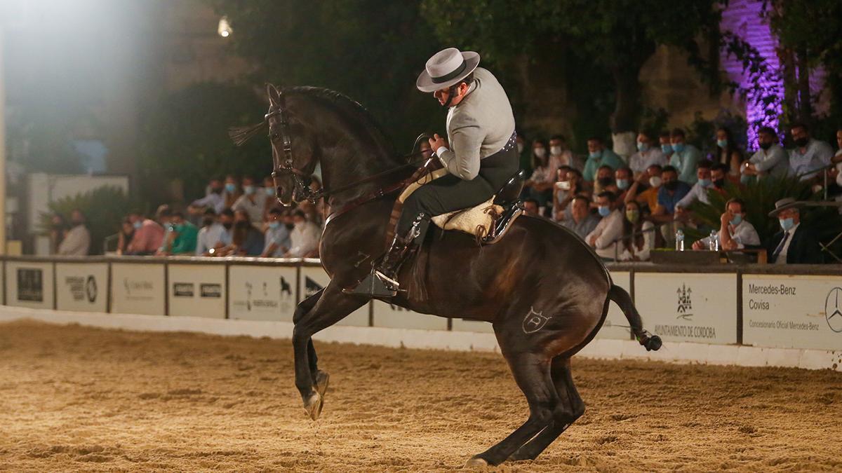 Doma vaquera en Caballerizas en Córdoba.