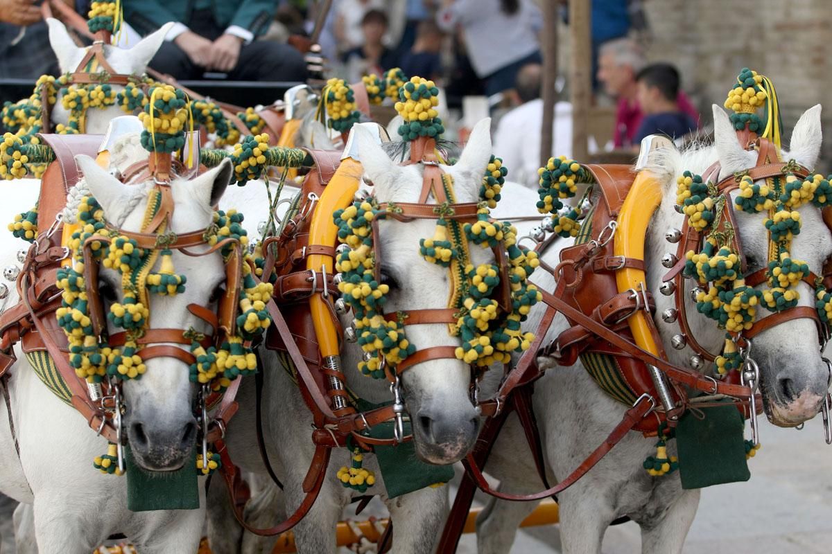 4º Concurso Internacional de Atalaje de Tradición en Cabalcor 2018