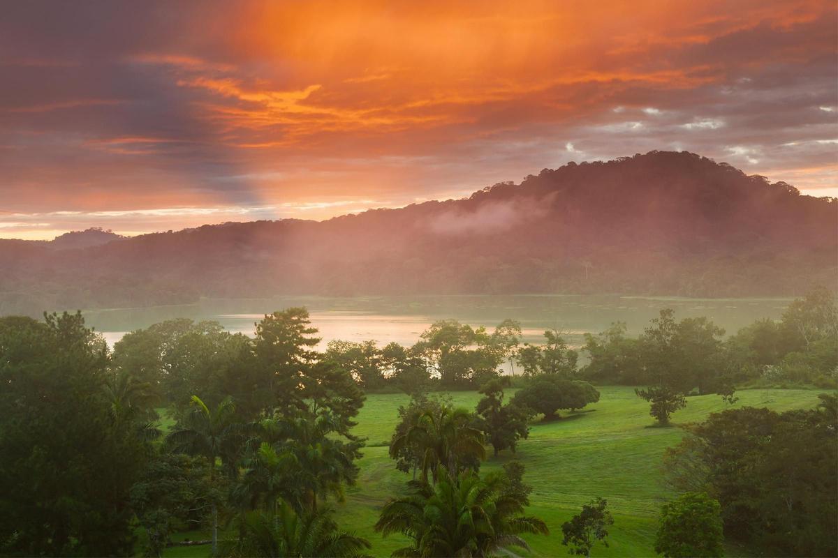 Amazonas de Perú