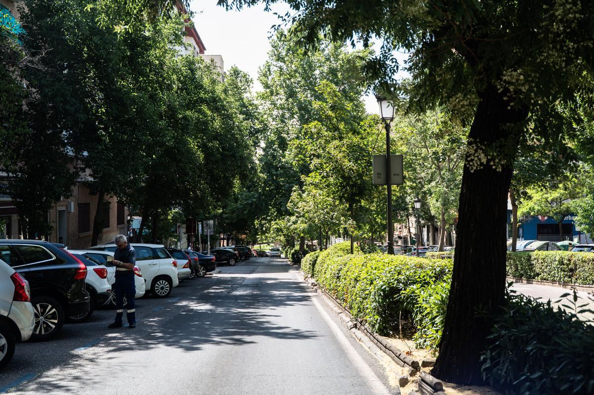 Avenida Virgen de la Montaña de Cáceres
