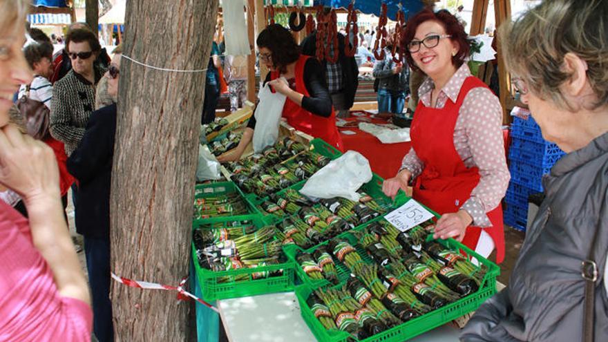 Sierra de Yeguas suspende la Feria del Espárrago de finales de abril por el coronavirus