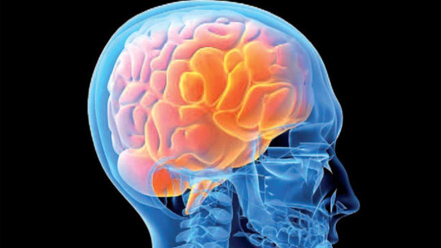Los científicos intentan averiguar qué ocurre en el cerebro tras la muerte