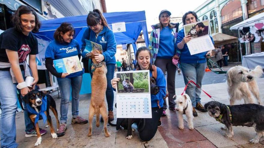 De izquierda a derecha, Nagore Goicoechea, Noelia Araujo, Alicia Paredes, Lucía Díaz, Juani Fernández y Mar Martínez, ayer, junto al stand que montaron en el Fontán.