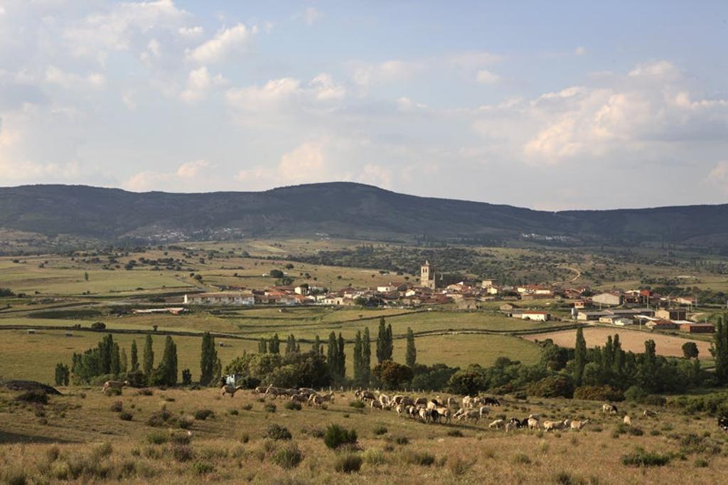 Bonilla de la Sierra. Ávila.