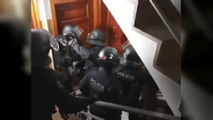 Vídeo | Cau la banda que va robar 2,5 milions de psicòtrops d’un camió a Catalunya