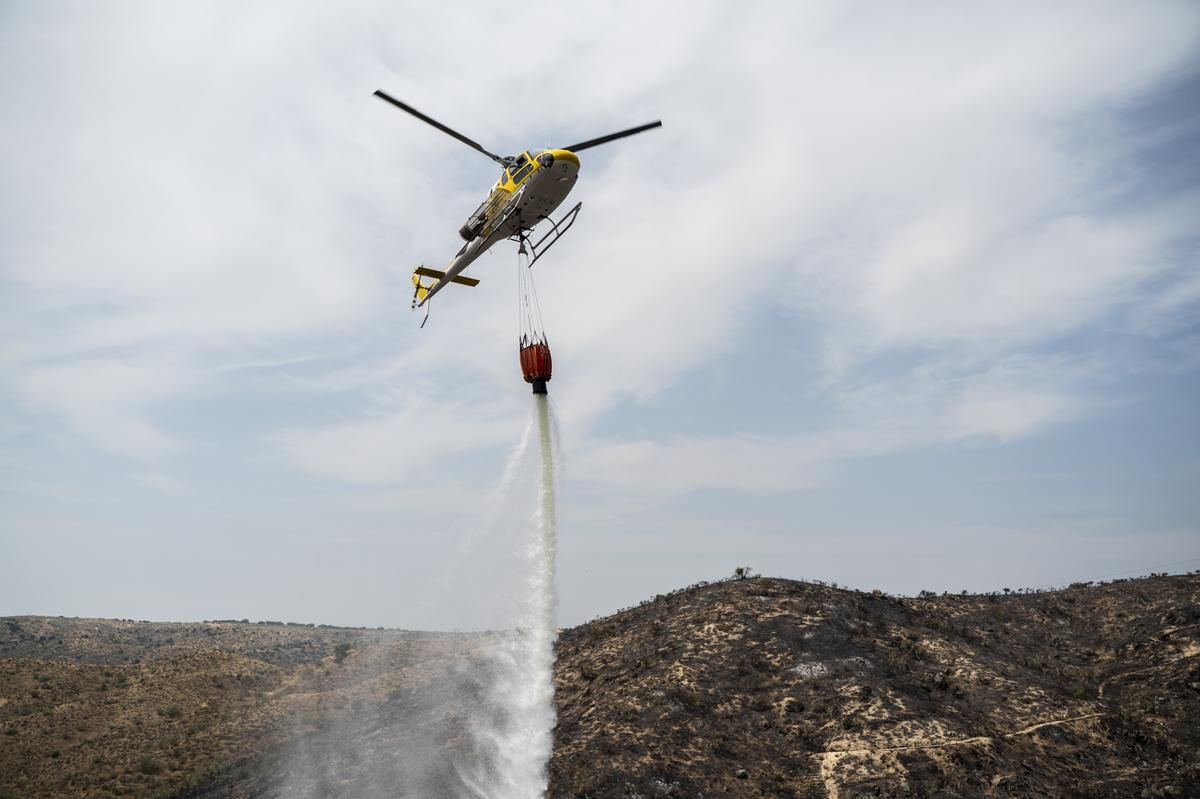 Fotogalería | Así ha sido el incendio forestal en Garrovillas de Alconetar