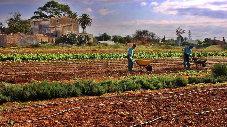 Ecotasa en Mallorca | La isla necesita una ley de fiscalidad ambiental