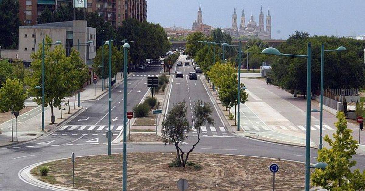 Solo se han plantado dos olivos de los cien previstos
