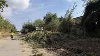 Bétera limpia el Barranquet y el Barranc de Nàquera para prevenir posibles inundaciones: "Gobernar también es anticiparse"