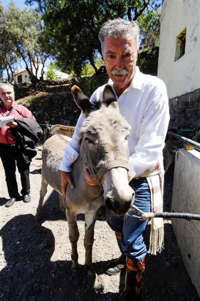 XX Feria Equina de La Culata de Tejeda