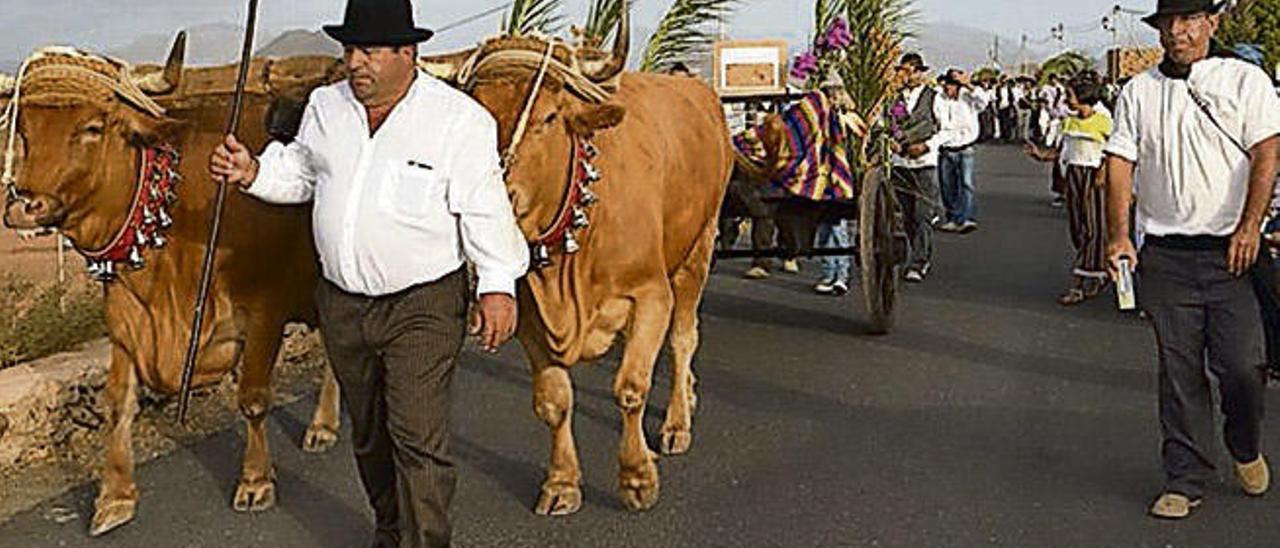 El ganadero Matías Peña con sus animales.