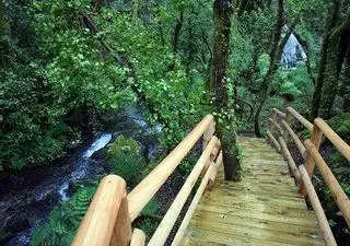 Un paraje privilegiado y más accesible en el río