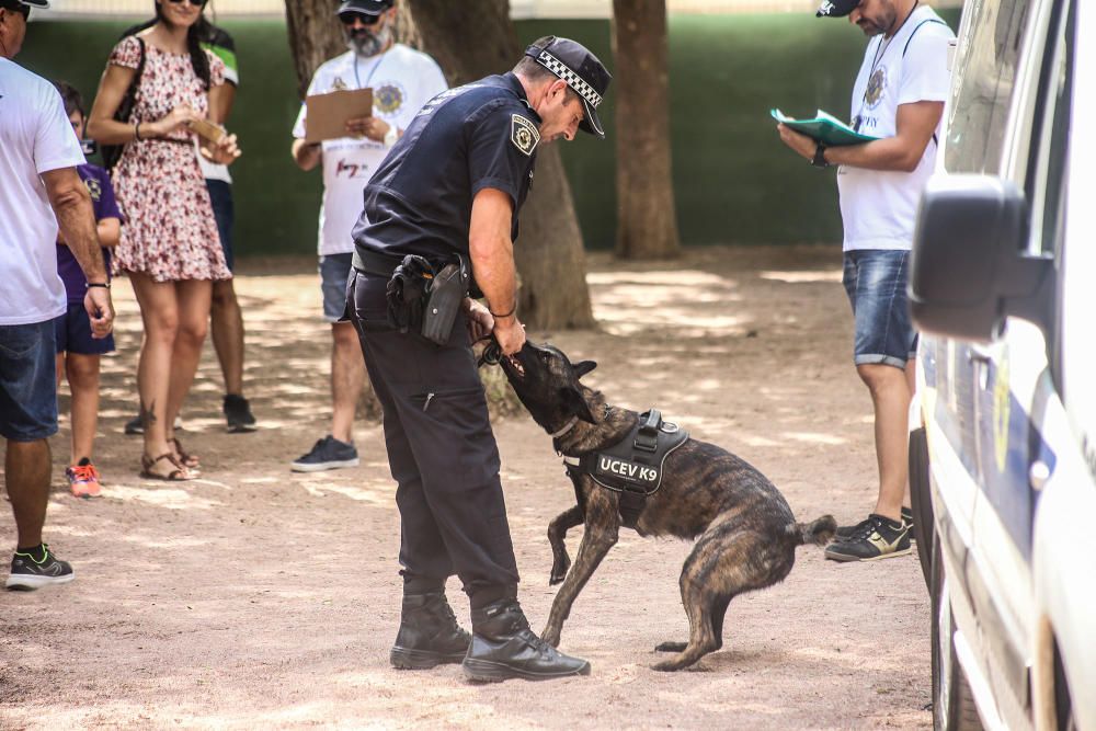 Campeonato de perros detectores de sustancias estu