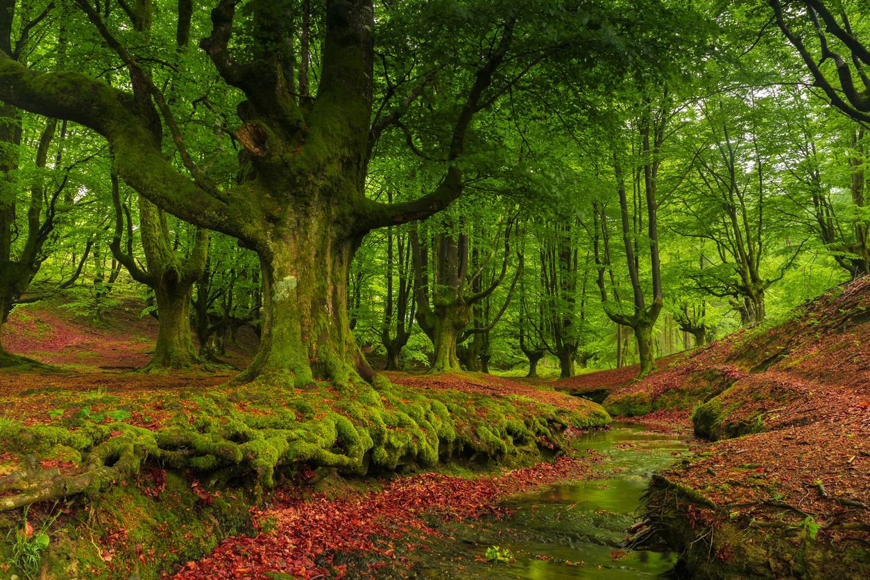 El asombroso tesoro escondido en España: paraíso natural y perfecto para  una escapada