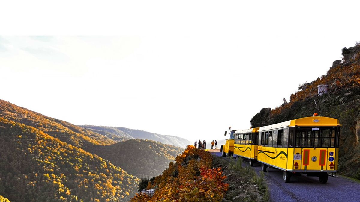 Viajeros disfrutan del trayecto en el Tren Aba Sacra con vistas únicas sobre el Cañón del Sil