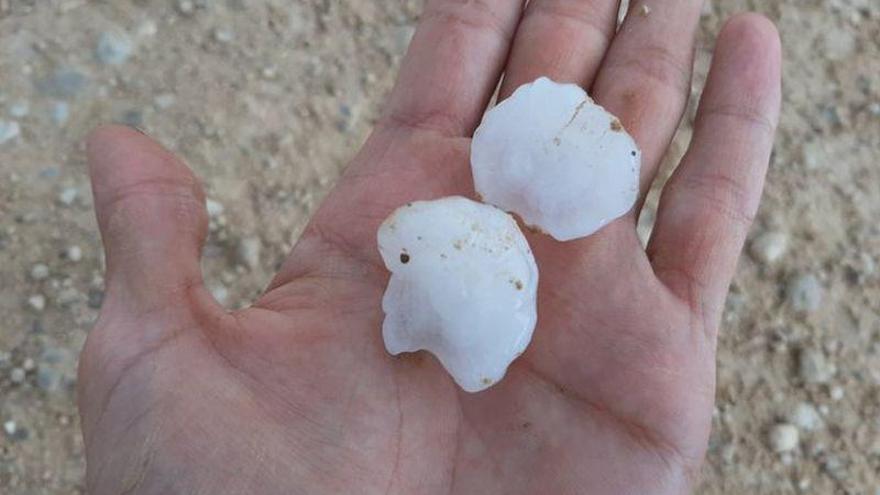 El granizo del 15  de agosto afectó a 9.500 hectáreas