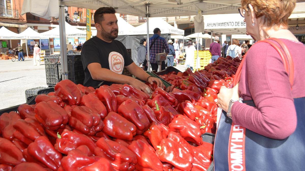 Feria del Pimiento de Benavente, en un edición anterior.