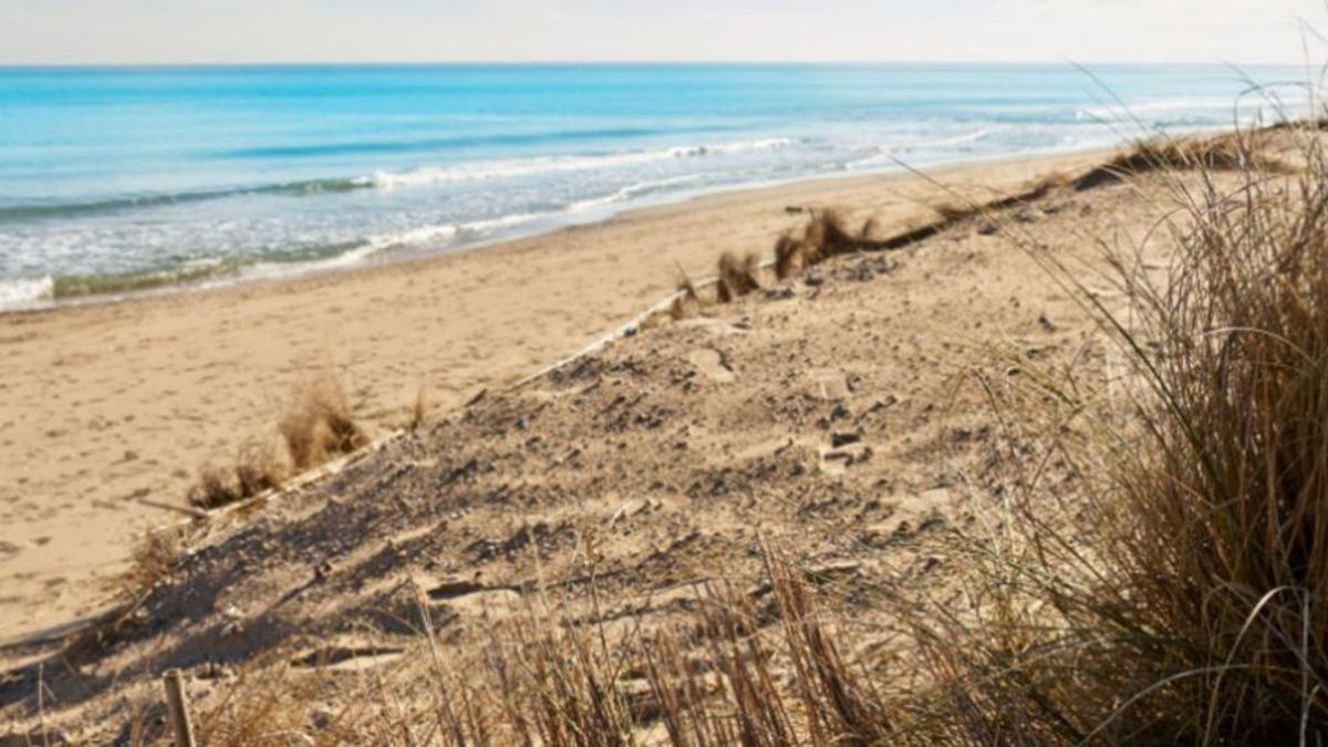 La actuación en las playas junto a la Devesa se considera prioritaria por su afectación a l’Albufera.