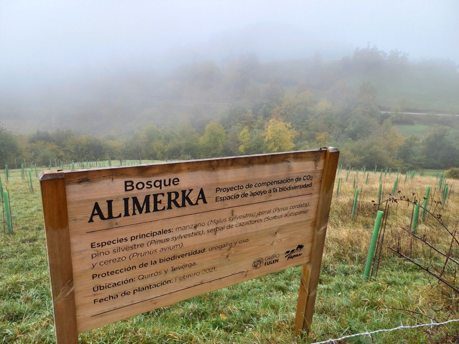 Bosque Alimerka.