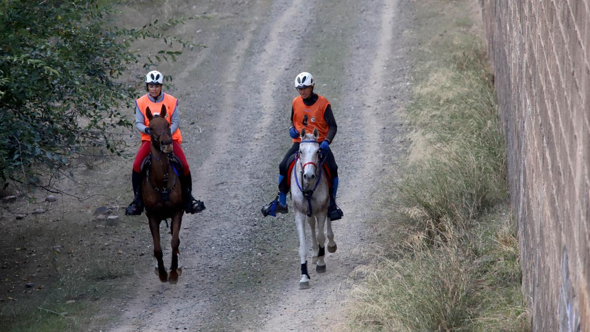 Primer Raid Córdoba para caballos árabes