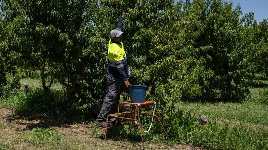 España, el país con más desempleados de Europa, empieza a tener provincias sin paro