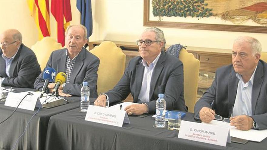 Castellón deja en el árbol la mitad de la clemenules de esta campaña