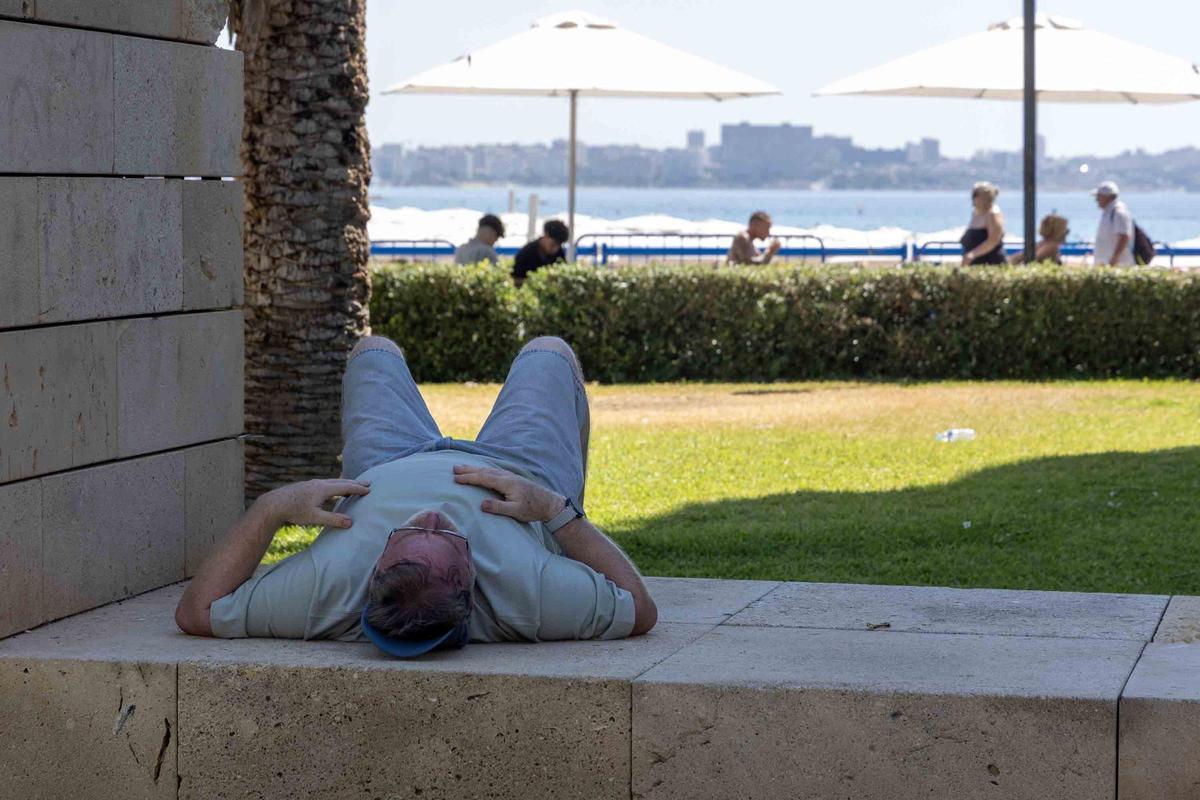 Así se refugia Alicante del calor tras superar los 40 grados en plena ola extrema Así se refugia Alicante del calor tras superar los 40 grados en plena ola extrema