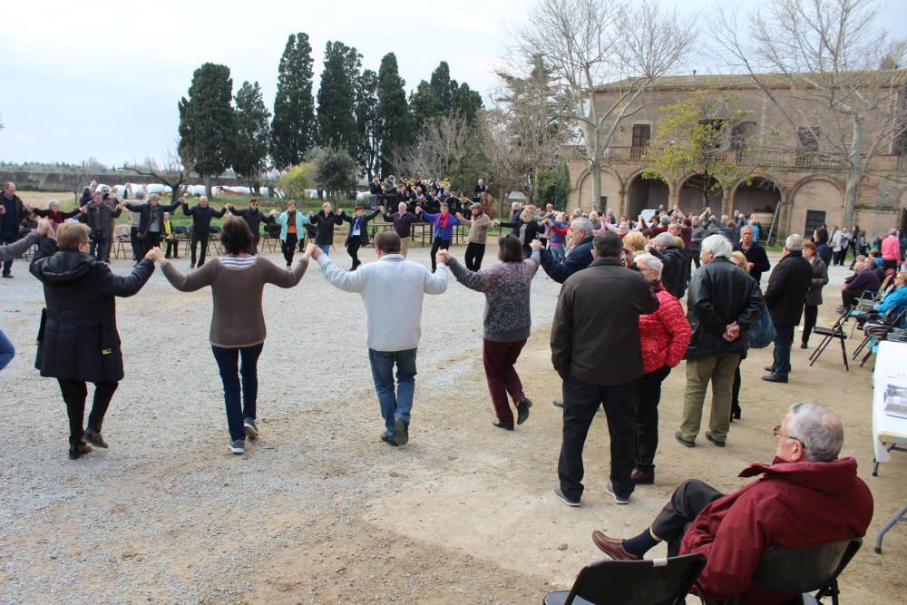 Pletòric Aplec de Sant pau de la Calçada