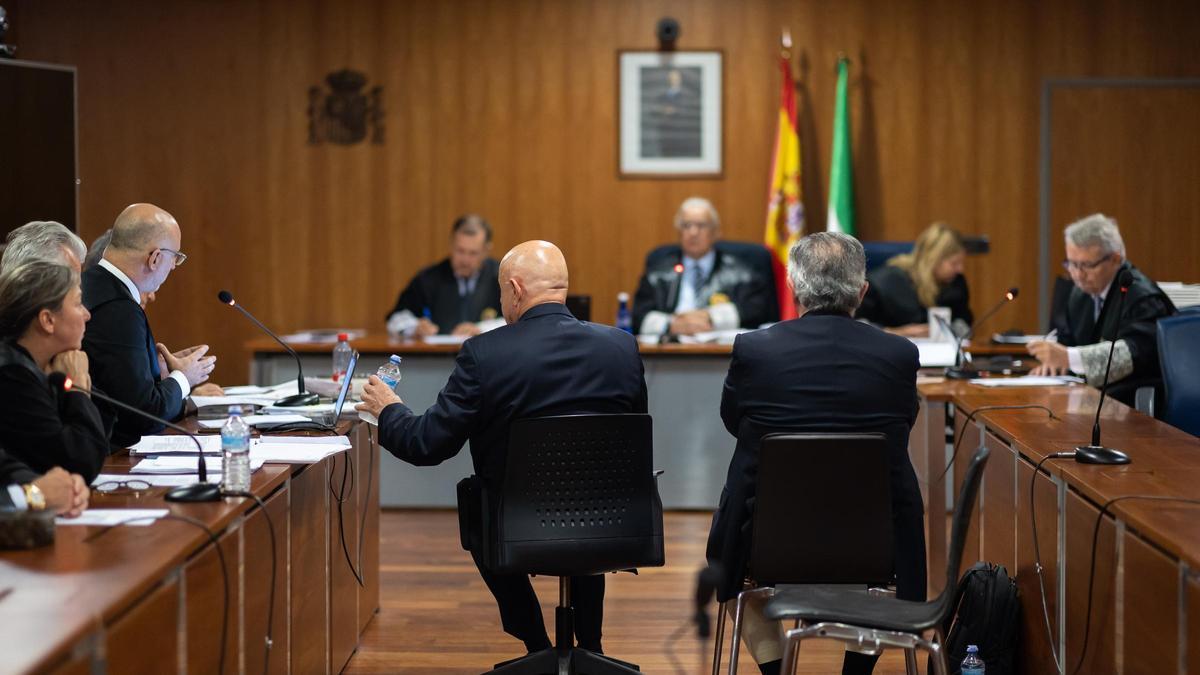 Julián Muñoz ha declarado mediante videoconferencia por encontrarse enfermo.