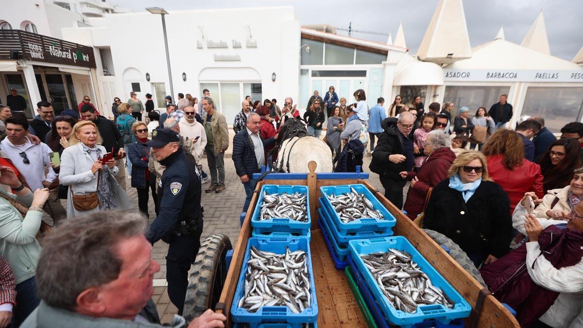 Arrival of the fish at the Fira des Gerret in Santa Eulària.