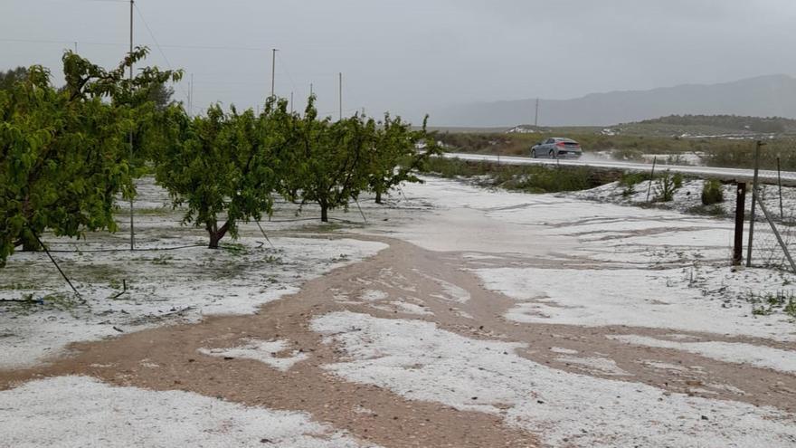 Uno de los parajes de Cieza cubierto de nieve.