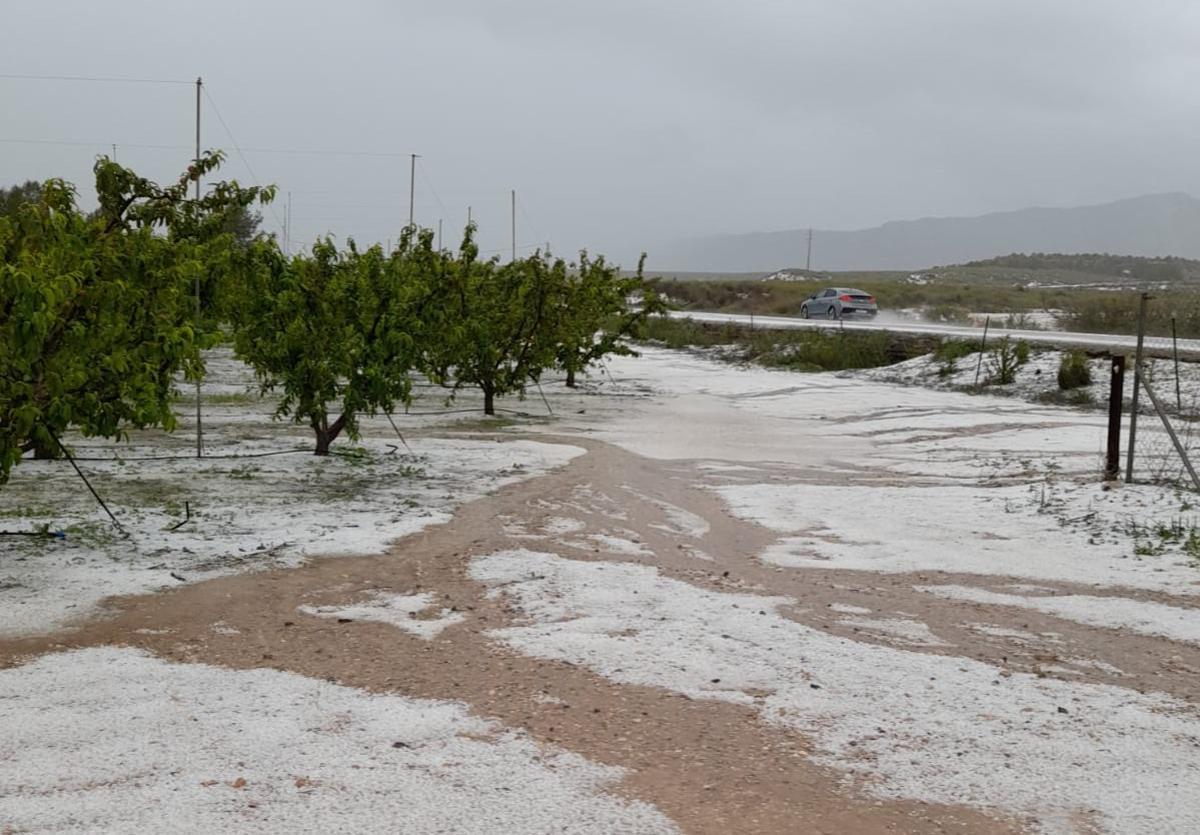 Uno de los parajes de Cieza cubierto de nieve.