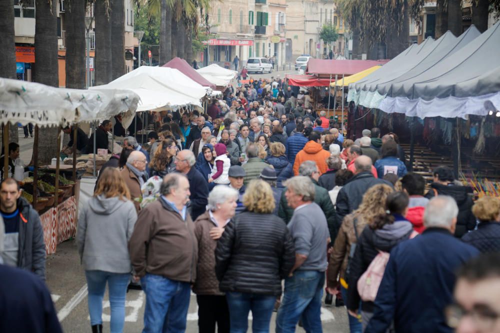 Regnerische Eindrücke von Mallorcas größtem Herbstmarkt