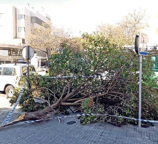 El vendaval deja un reguero de incidentes