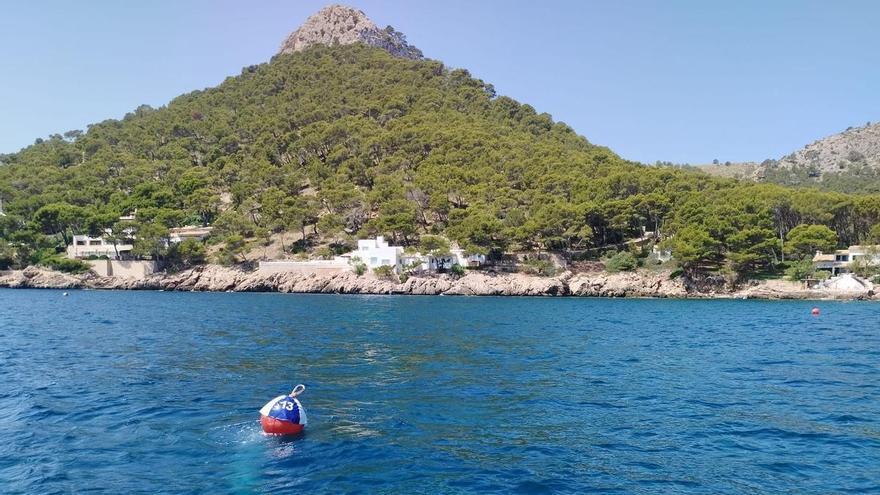 Denuncian a la cúpula de PortsIB ante Anticorrupción por instalar campos de boyas con la licitación suspendida