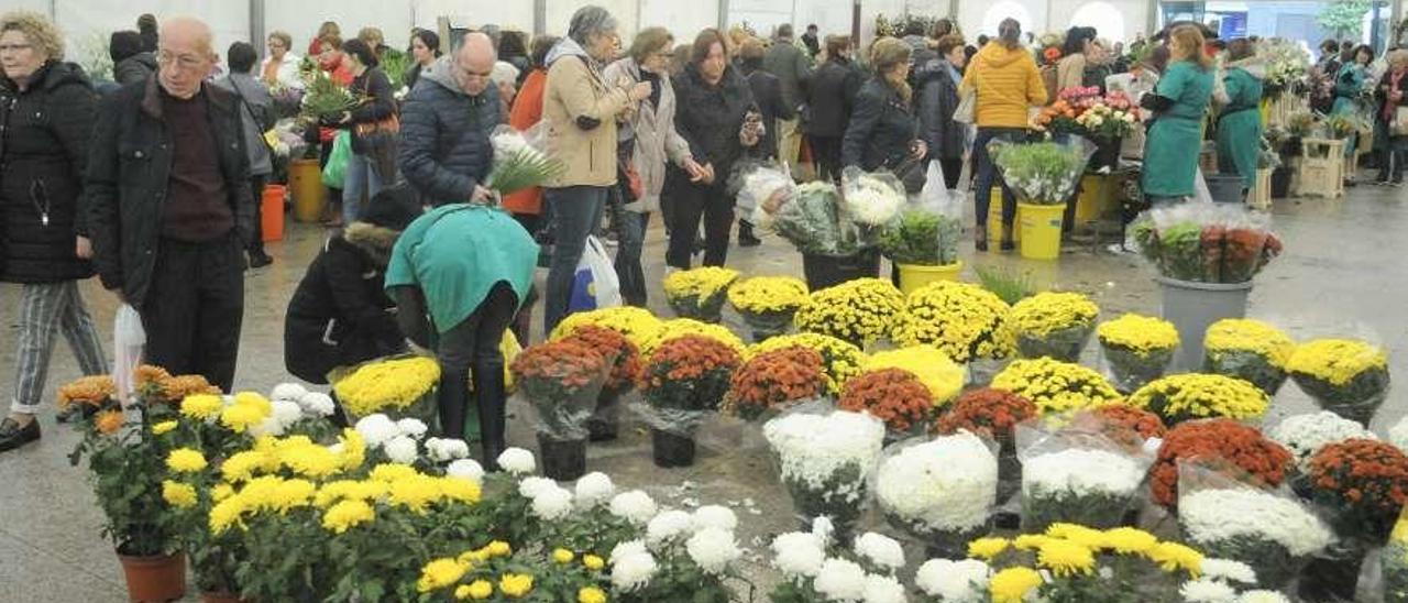 El mercado de las flores de Vilagarcía.  // Iñaki Abella