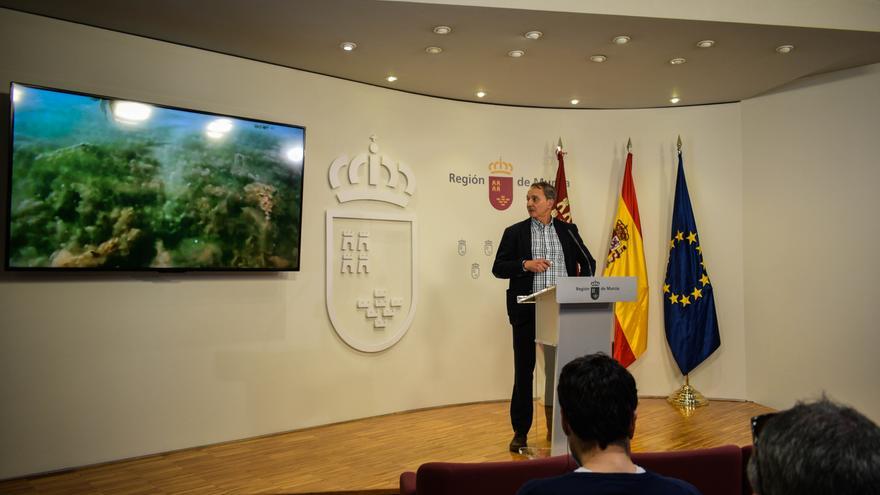 El Mar Menor vuelve a mostrar los primeros síntomas de la &#039;sopa verde&#039;