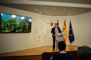 El Mar Menor vuelve a mostrar los primeros síntomas de la 'sopa verde'