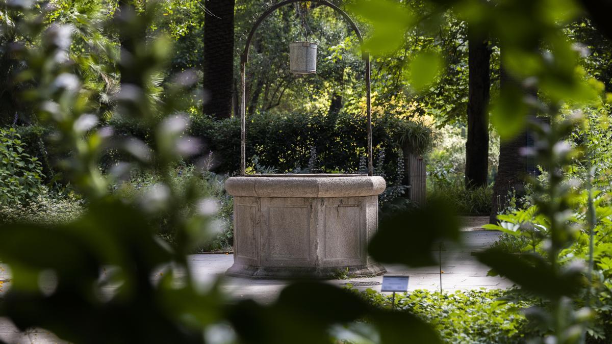 Qué hacer hoy en València: gymkana en el Jardí Botànic.