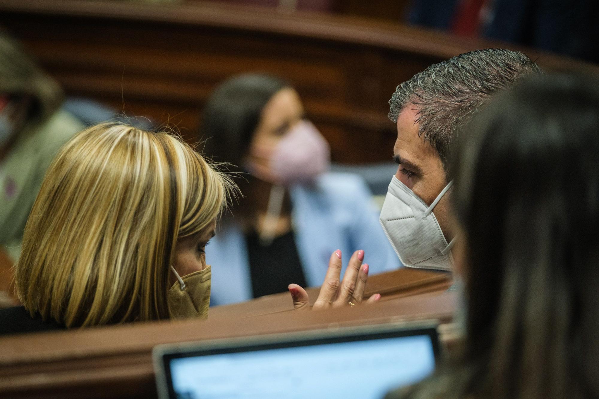 Pleno del Parlamento de Canarias