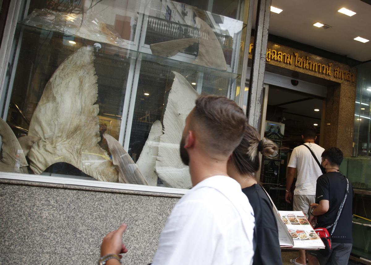 El tiburón, una delicatessen que sobrevive en Bangkok