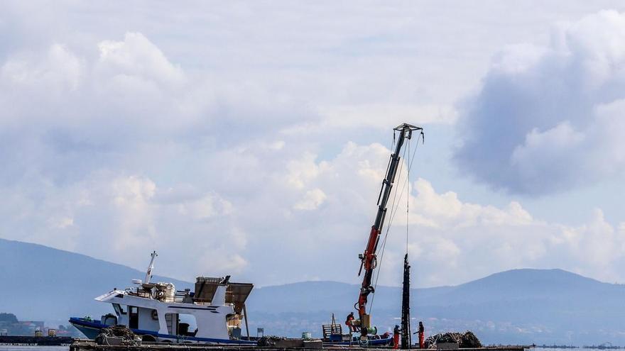 Opmega extiende sus redes de Portugal a Grecia con un nuevo socio internacional y más a la cola
