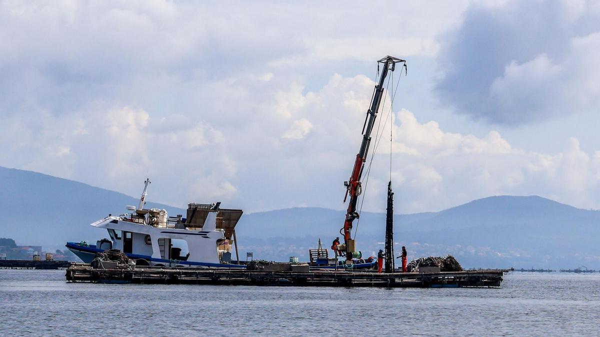 Opmega extiende sus redes de Portugal a Grecia con un nuevo socio internacional y más a la cola