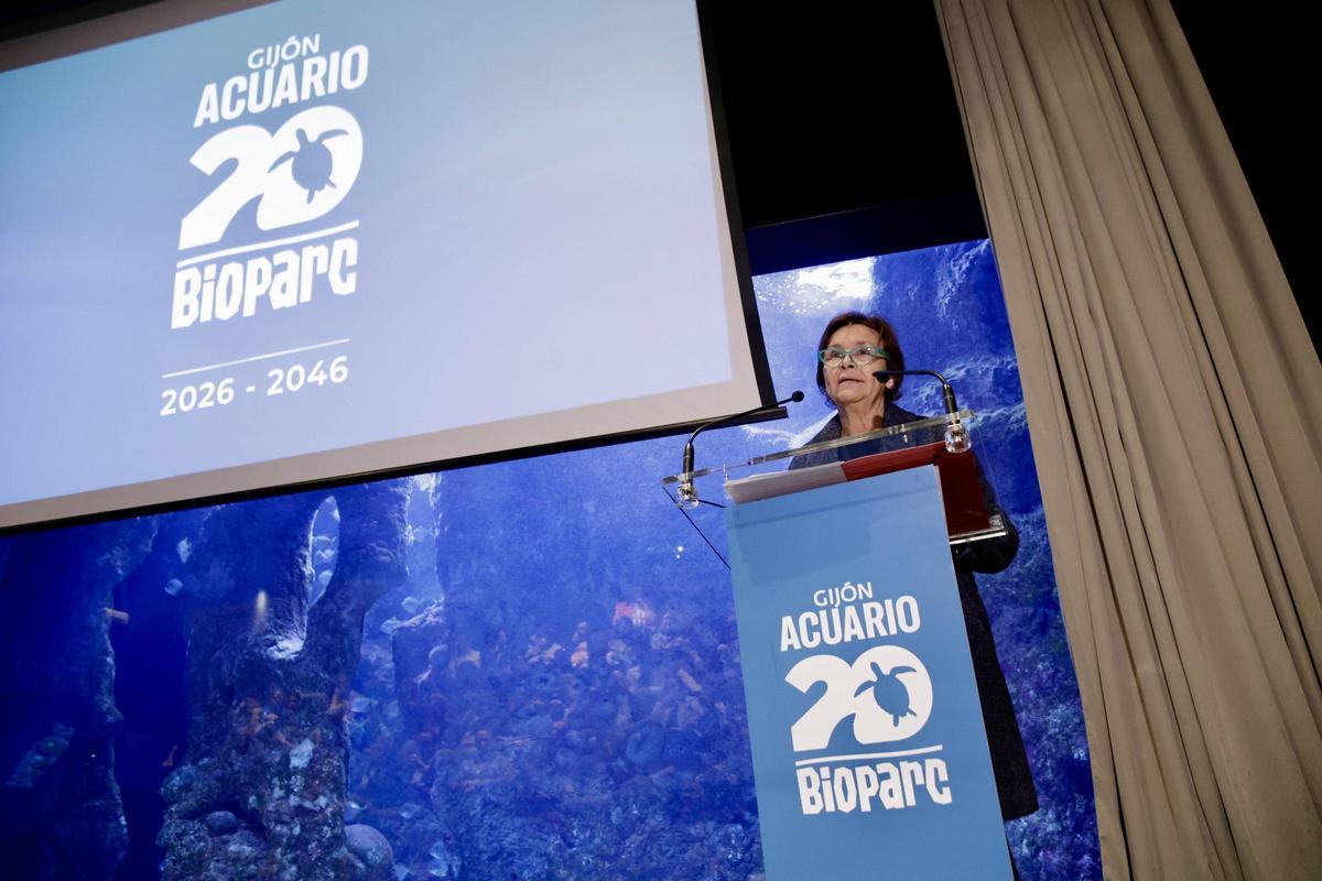 Así sumergieron los buzos del Acuario la cápsula del tiempo en el oceanario, en imágenes. Así sumergieron los buzos del Acuario la cápsula del tiempo en el oceanario, en imágenes.