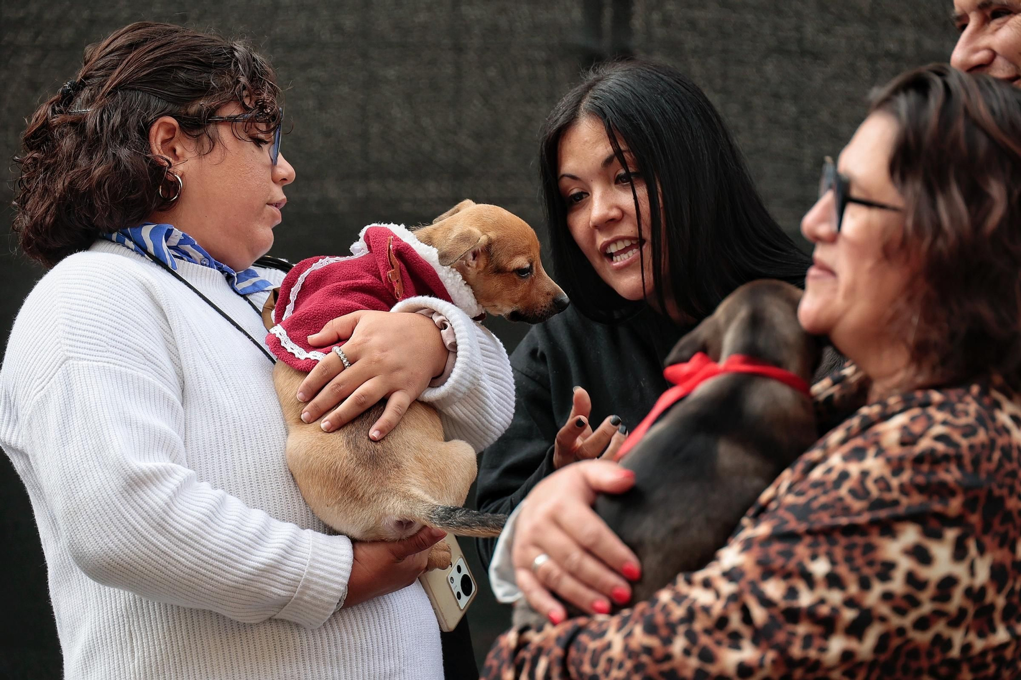 Feria de la Adopción Responsable de Animales de Compañía