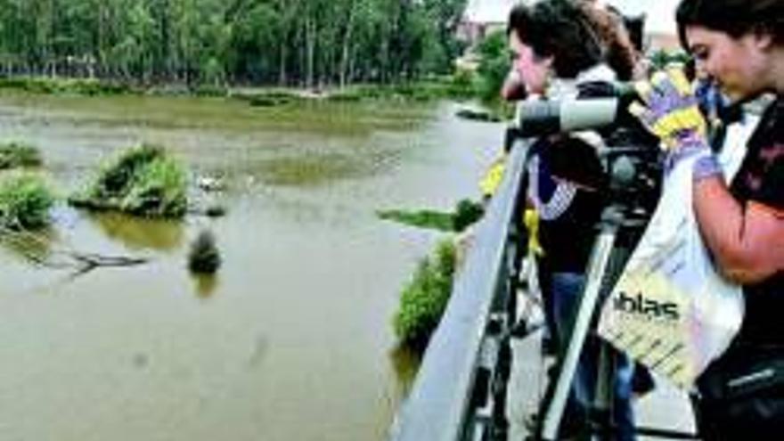 Salvar la vida en el Guadiana